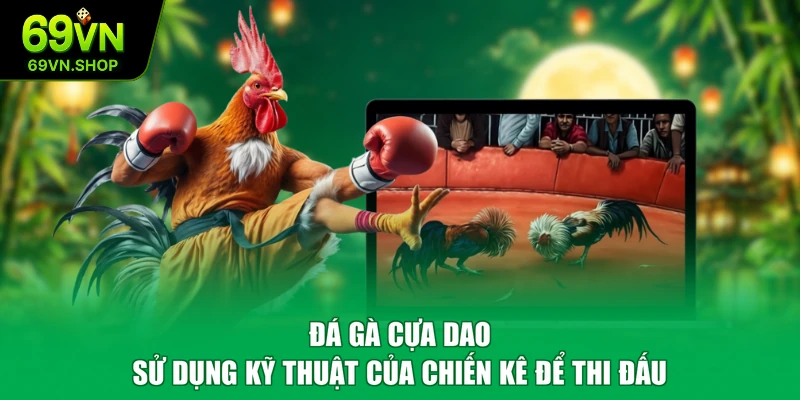 Đá gà cựa dao sử dụng kỹ thuật của chiến kê để thi đấu