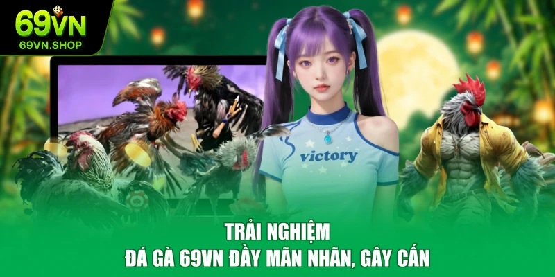 Trải nghiệm đá gà 69VN đầy mãn nhãn, gây cấn